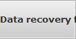 Data recovery for Essex data