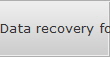 Data recovery for Essex data